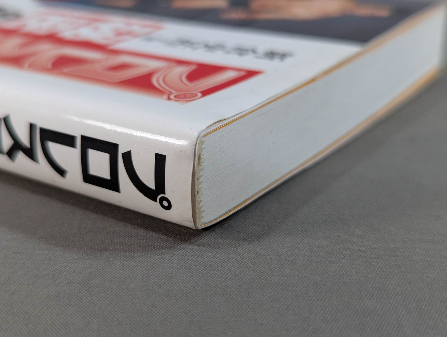 Pro Wrestler's Secret Story 2