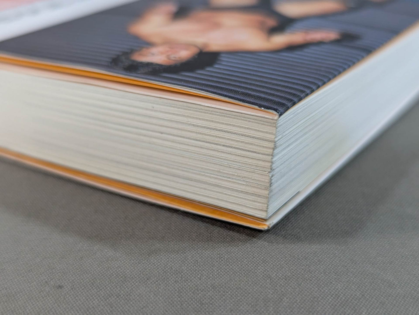 Pro Wrestler's Secret Story 2