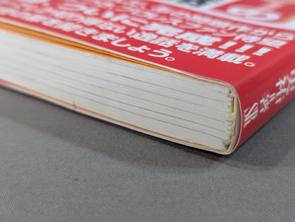 Pro Wrestler's Secret Story 2