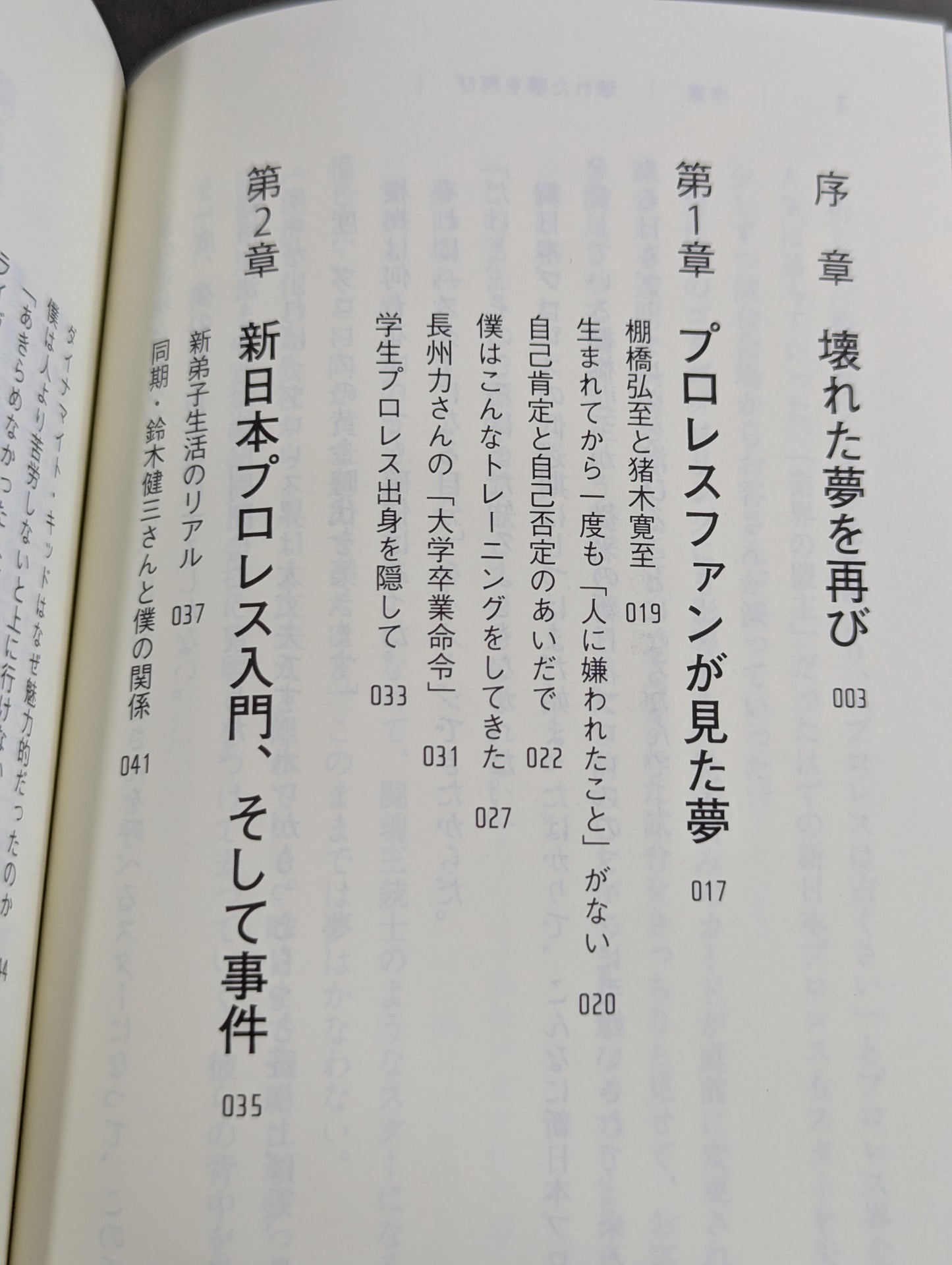 Why Hiroshi Tanahashi  New Japan Pro Wrestling Was it possible to change it?