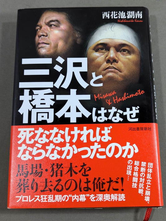 Why did Misawa and Hashimoto have to die?