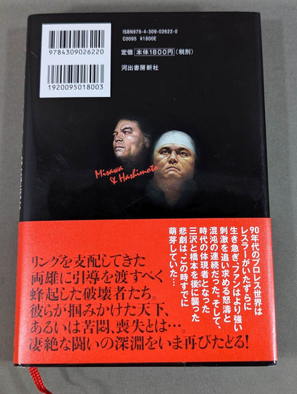 Why did Misawa and Hashimoto have to die?