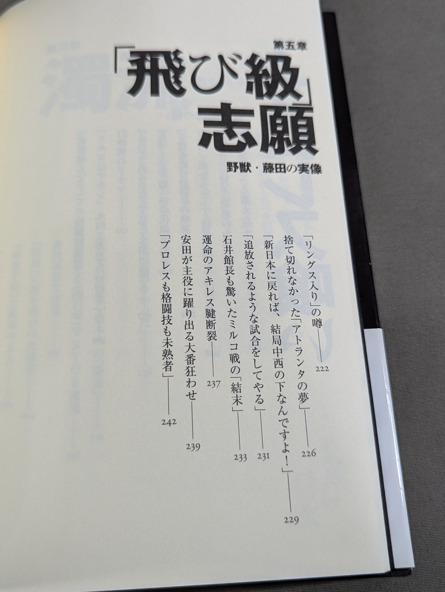 子殺し 猪木と新日本プロレスの10年戦争