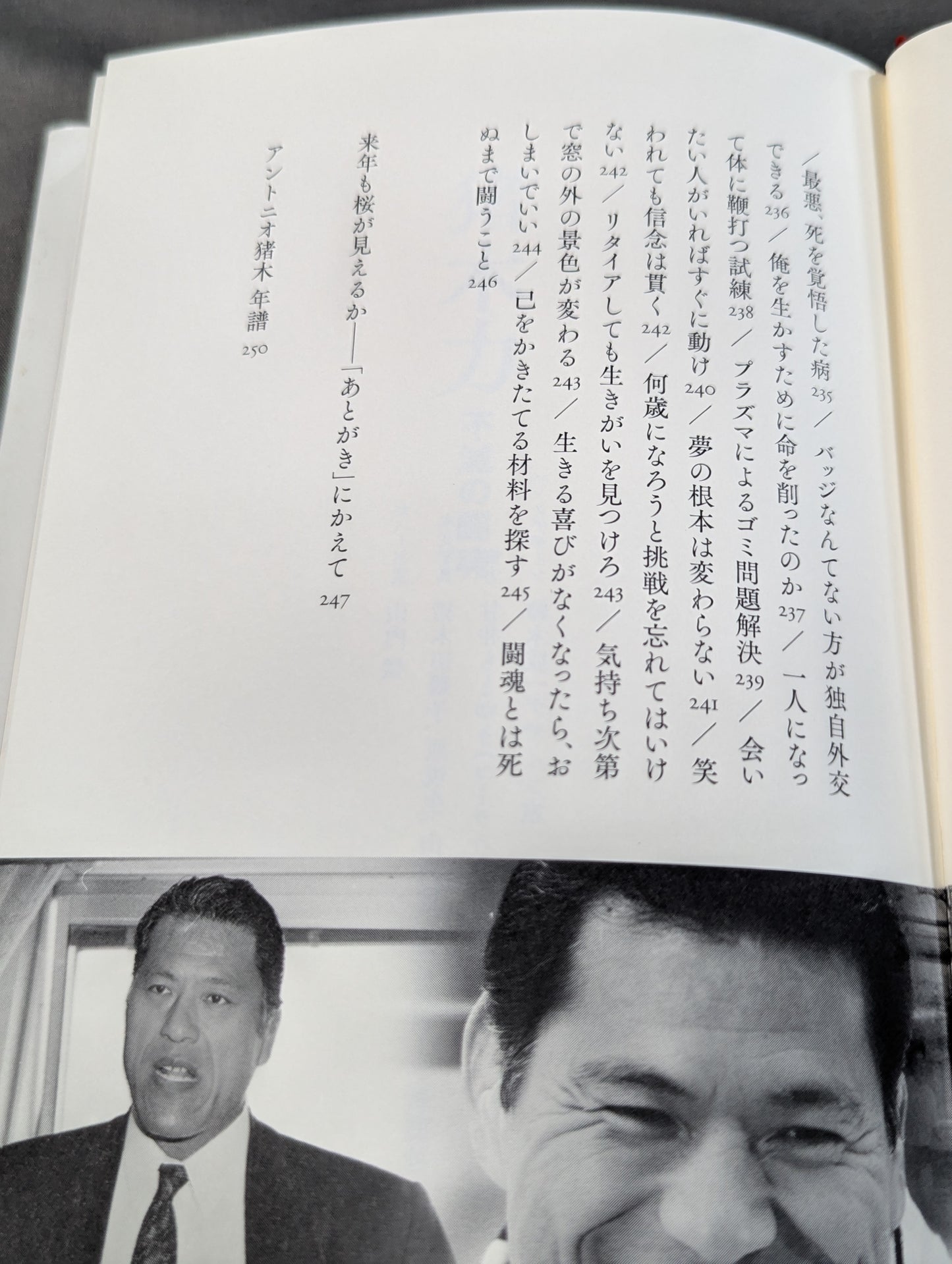 Inoki  Power Immortal Fighting Spirit