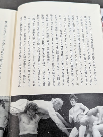 Inoki  Power Immortal Fighting Spirit