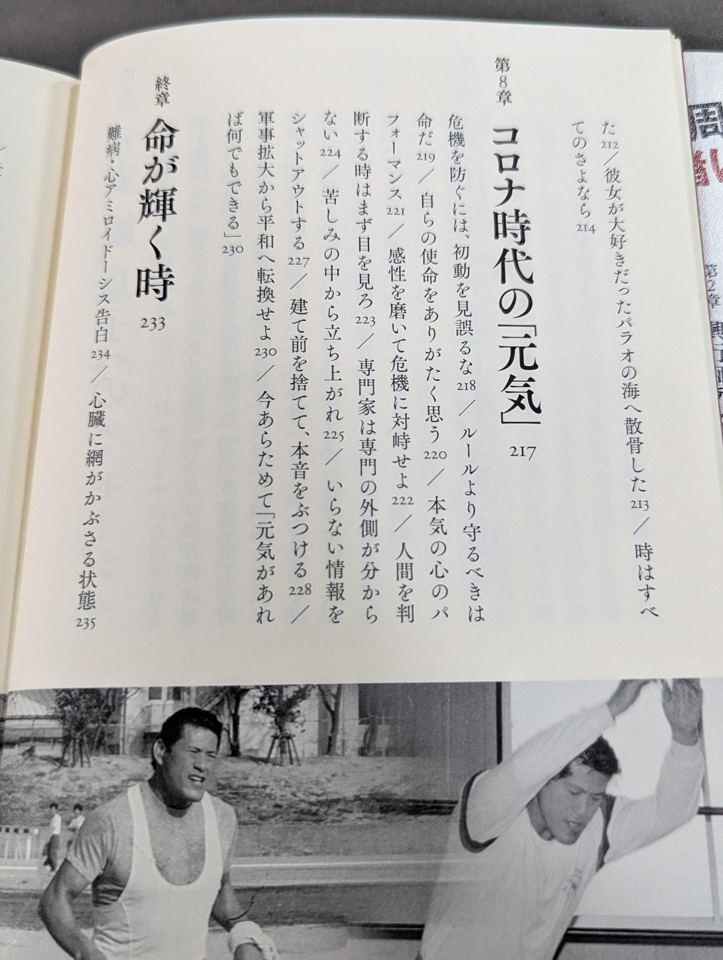 Inoki  Power Immortal Fighting Spirit