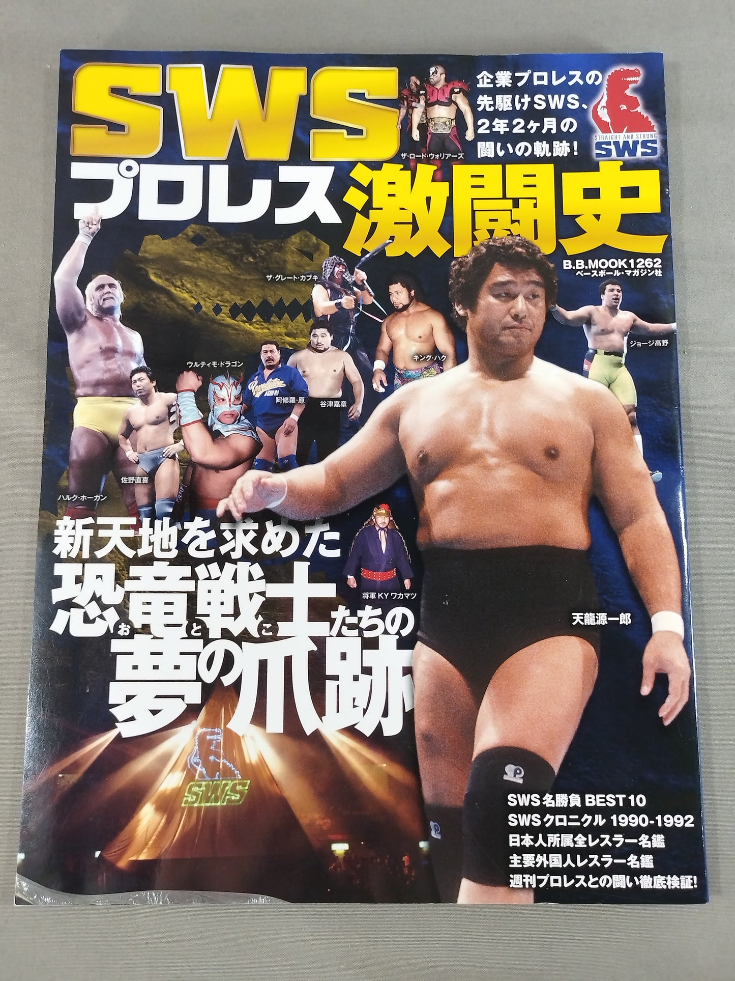 SWS Pro Wrestling  History