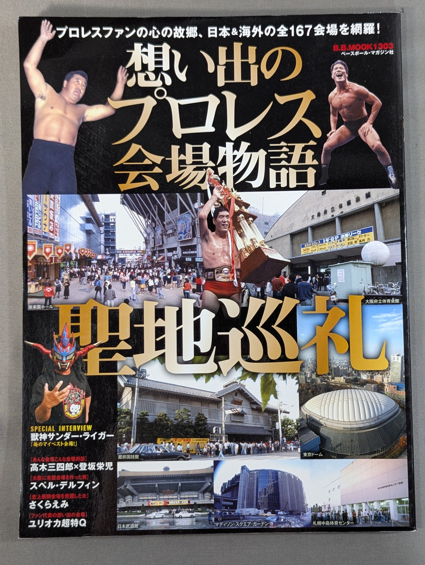 Memorable Pro Wrestling  Venue Story