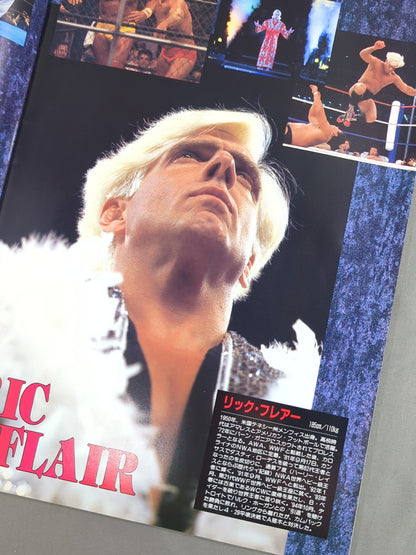 ★フレアー&テリー参戦★ 95WRESTLING DONTAKU
