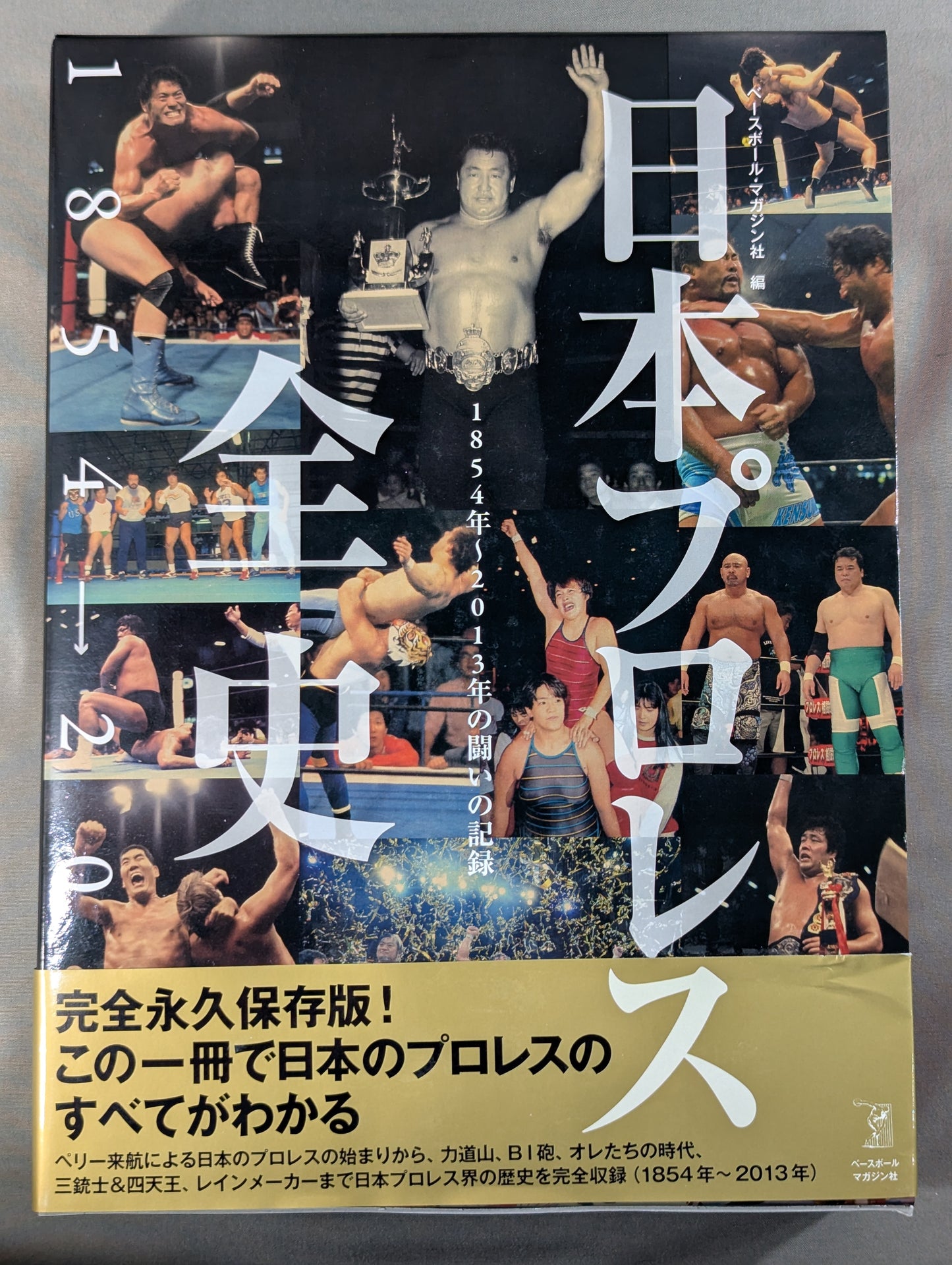 日本プロレス全史  1854～2013年の闘いの記録