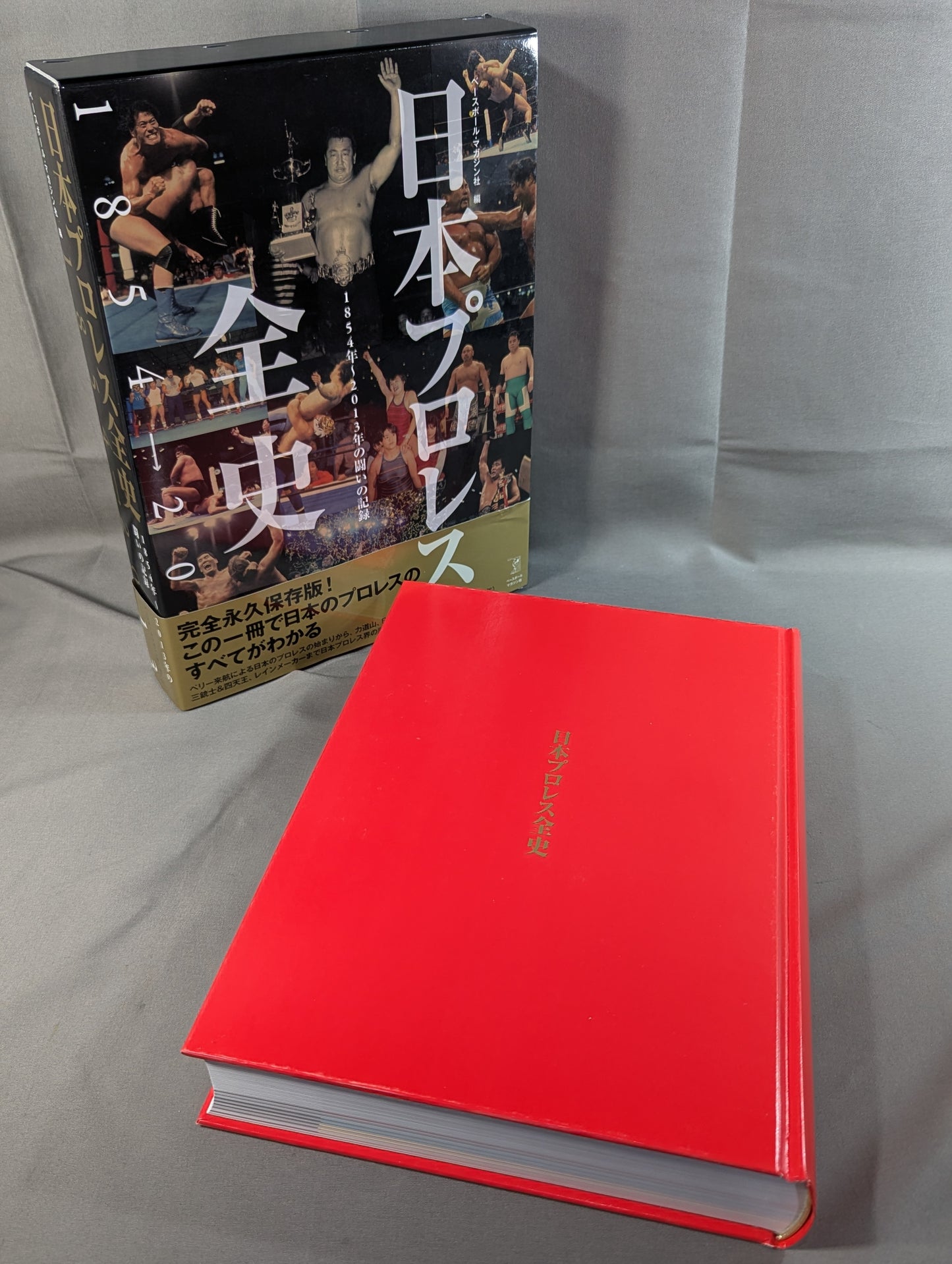 日本プロレス全史  1854～2013年の闘いの記録