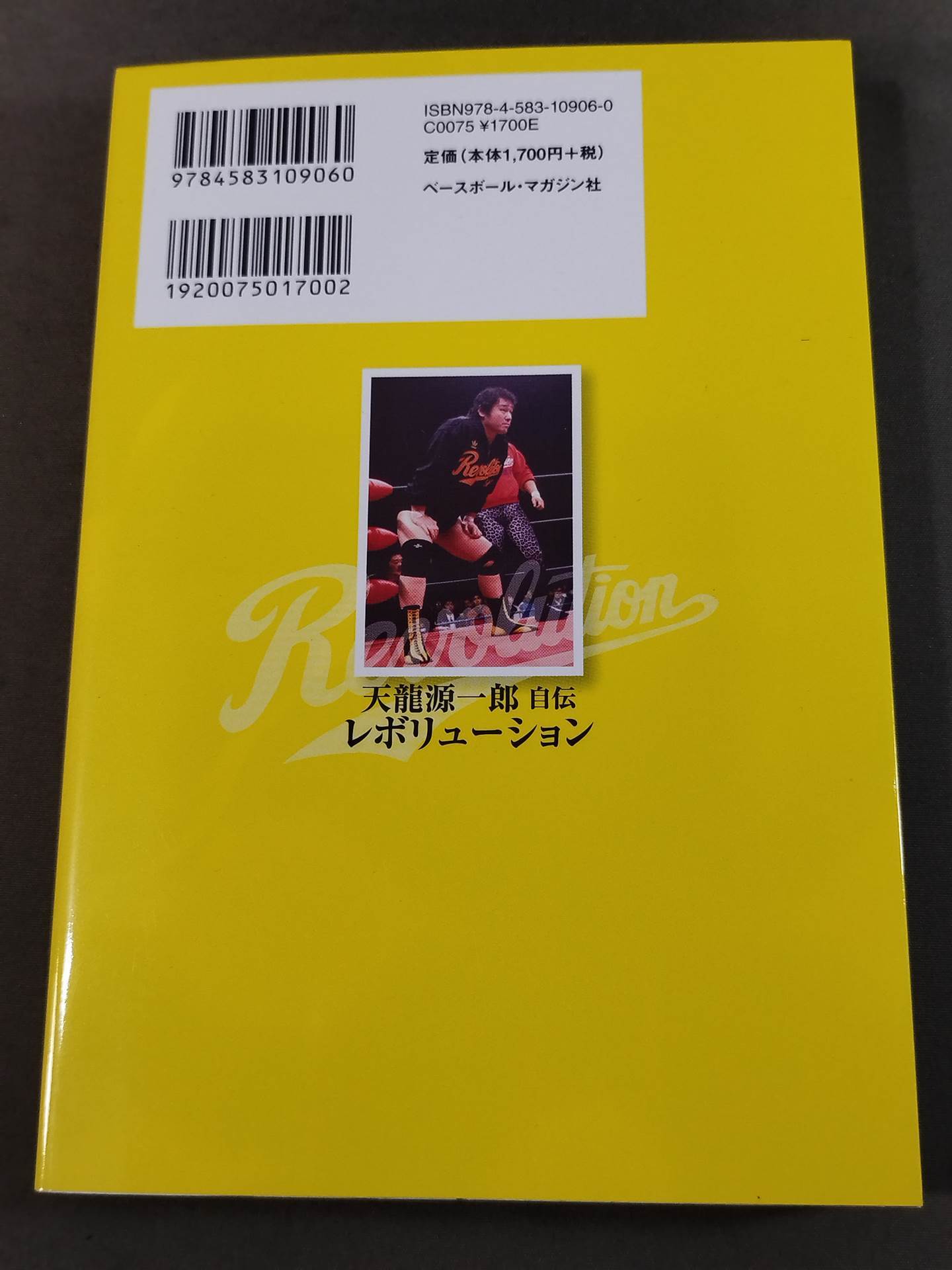 Tenryu Genichiro  Autobiography Revolution