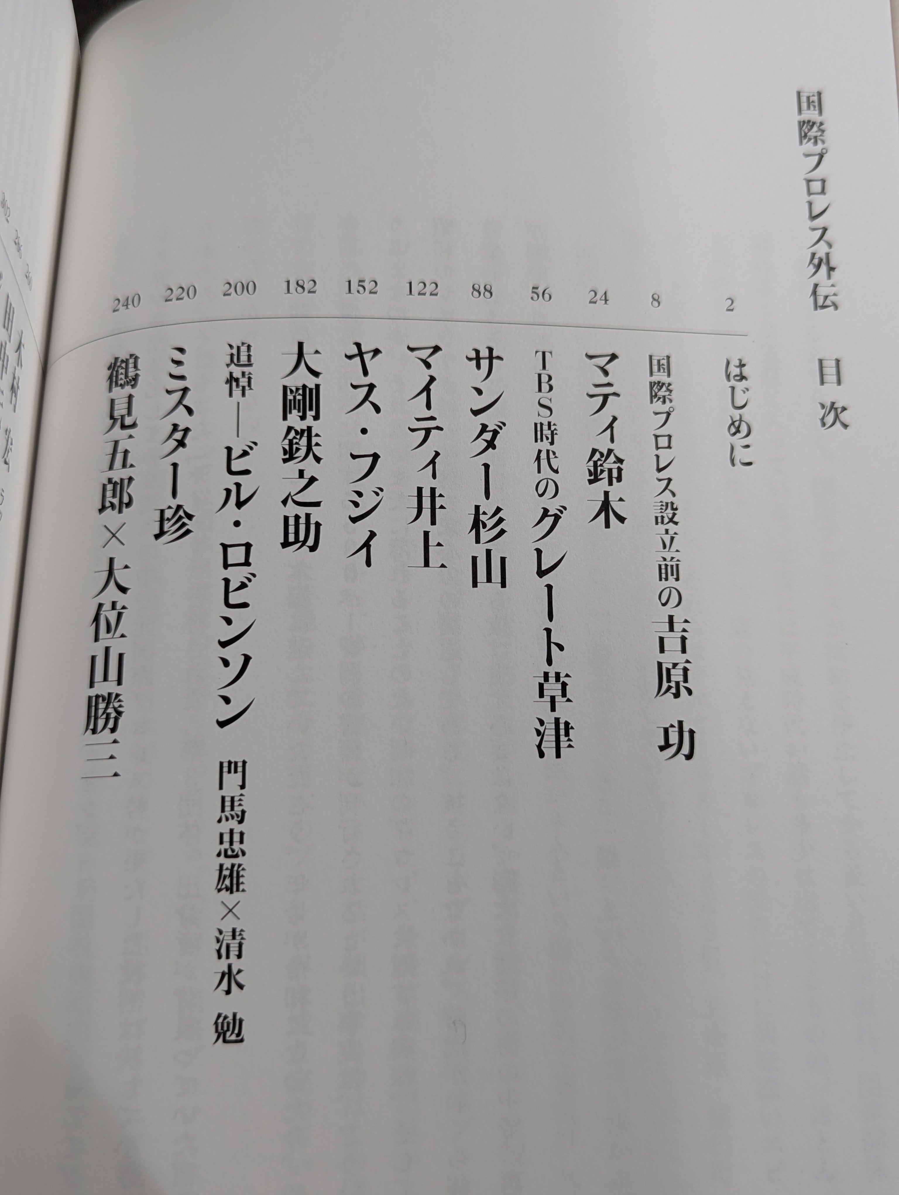 国際プロレス外伝 – 闘道館