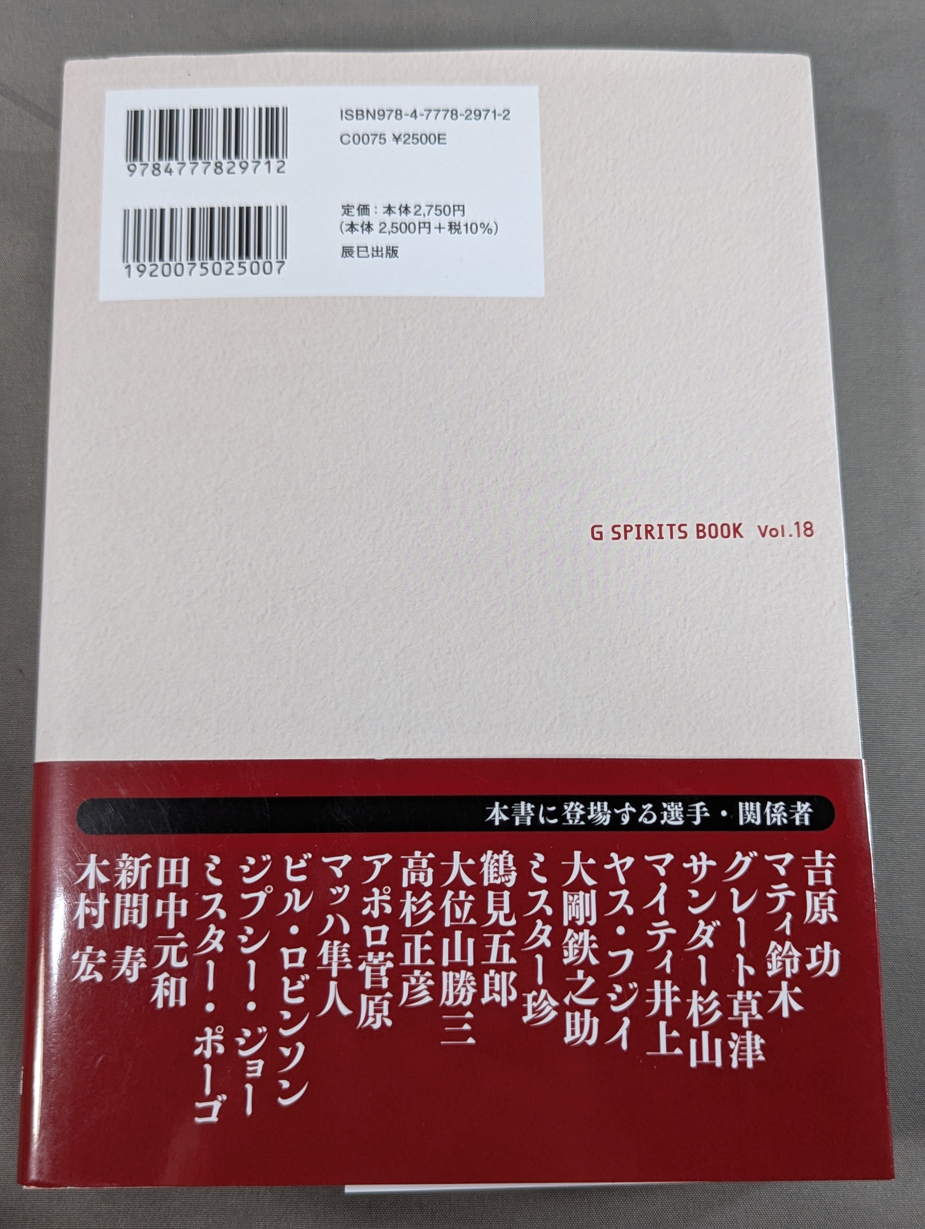 国際プロレス外伝 – 闘道館