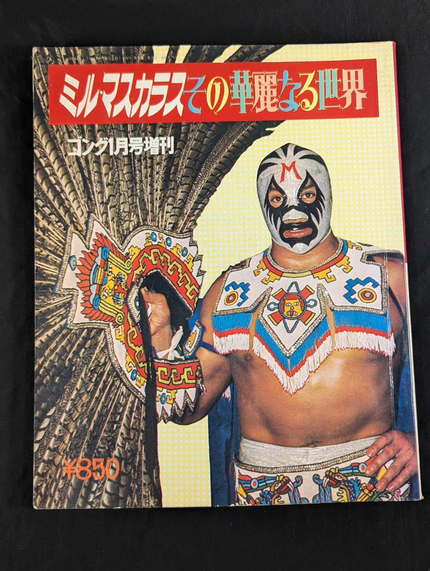 ミル・マスカラス その華麗なる世界