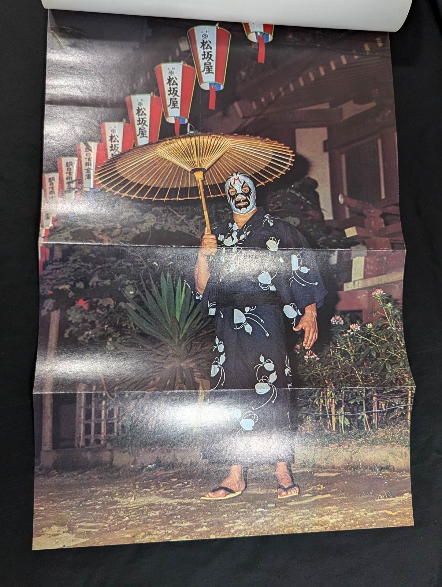 ミル・マスカラス その華麗なる世界