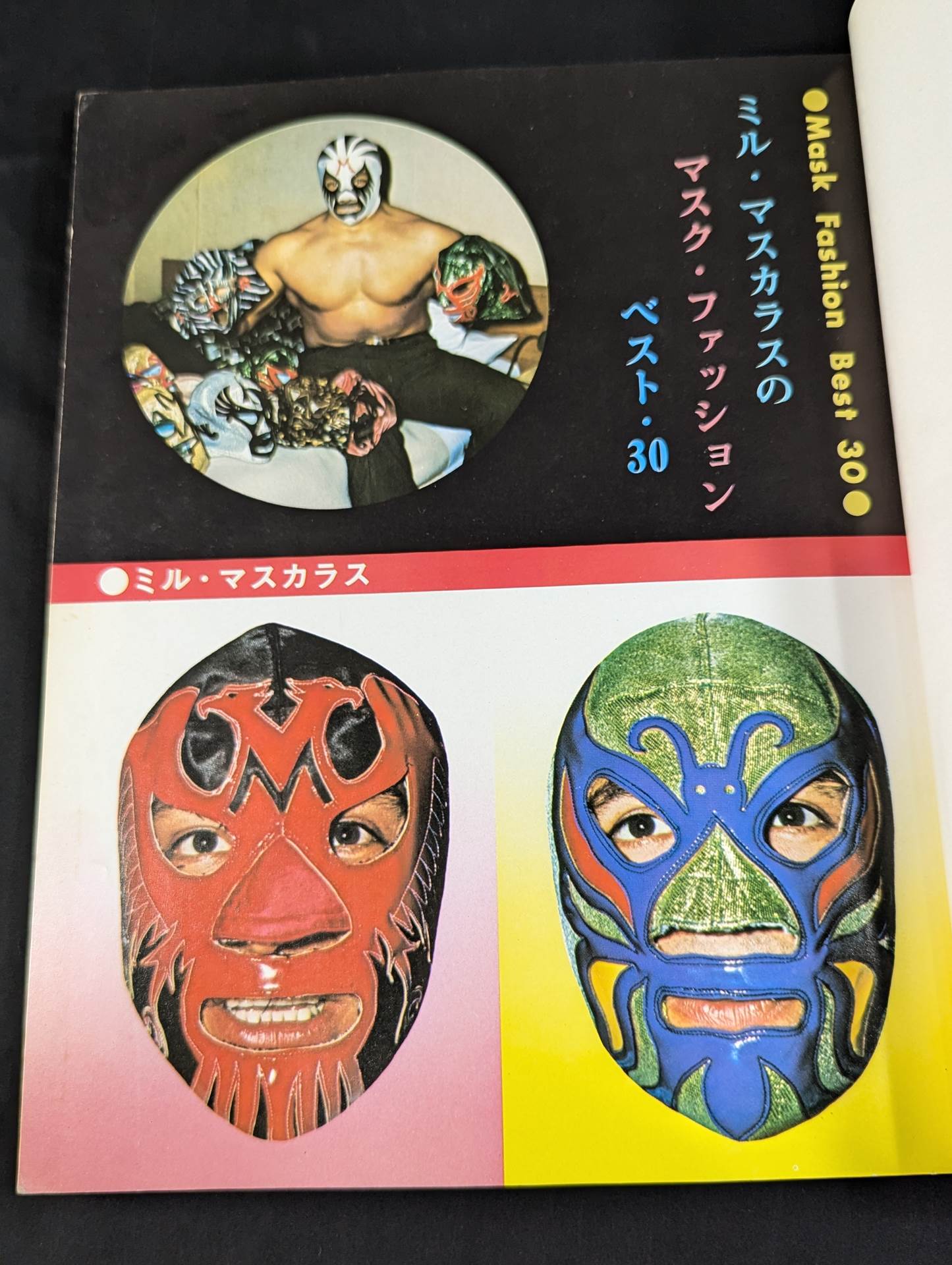 ミル・マスカラス その華麗なる世界