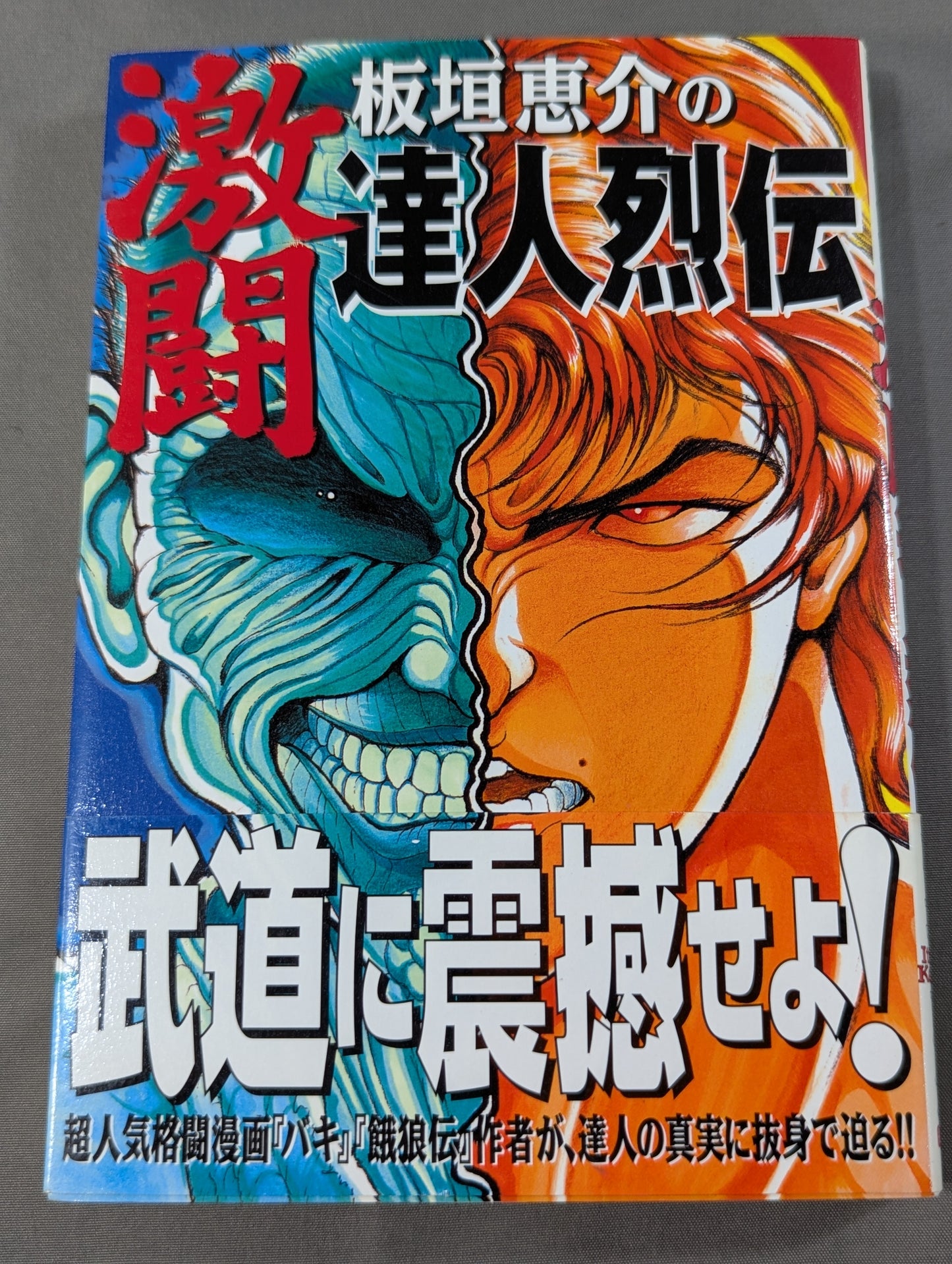 板垣恵介の激闘達人烈伝