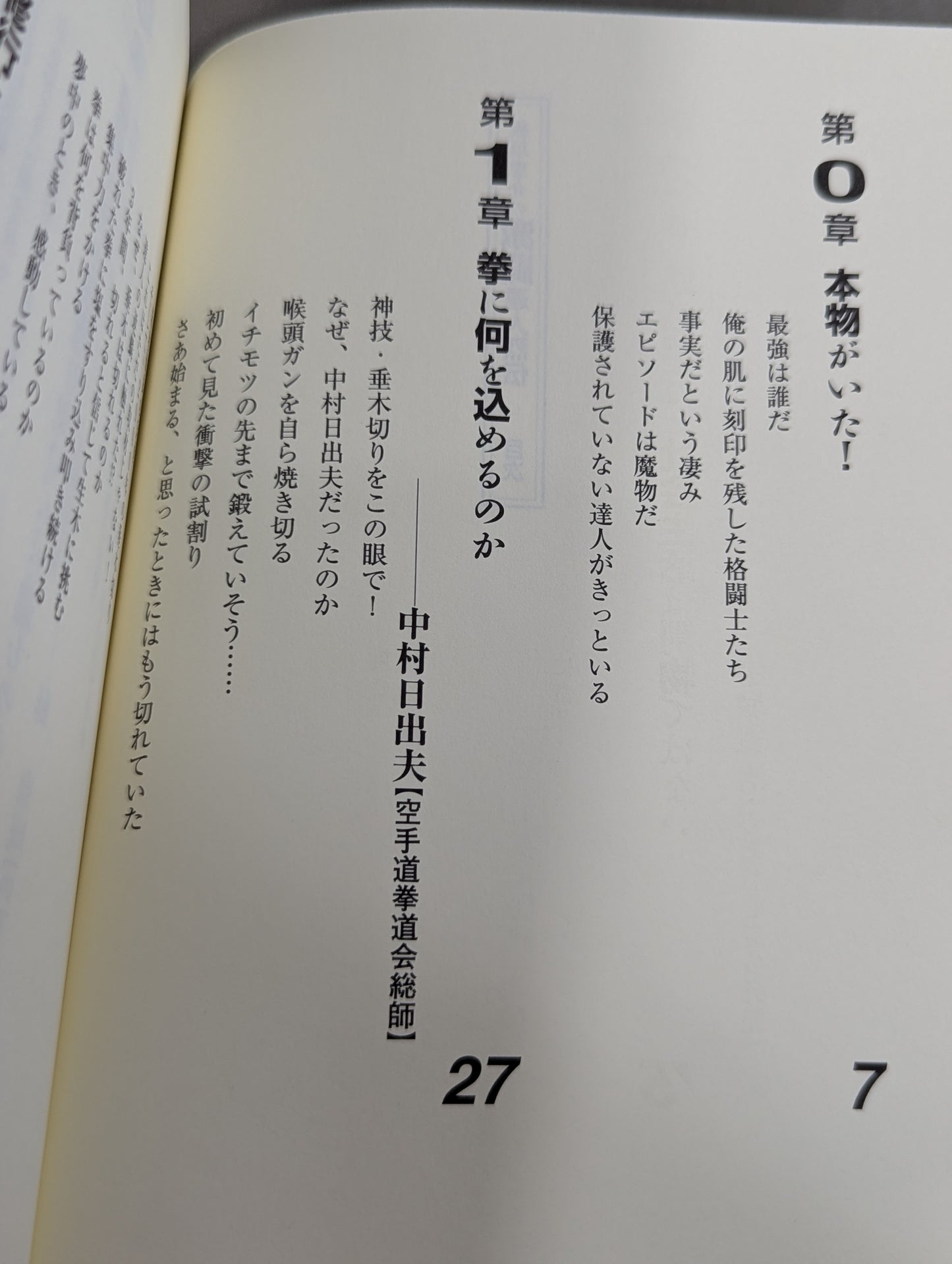板垣恵介の激闘達人烈伝