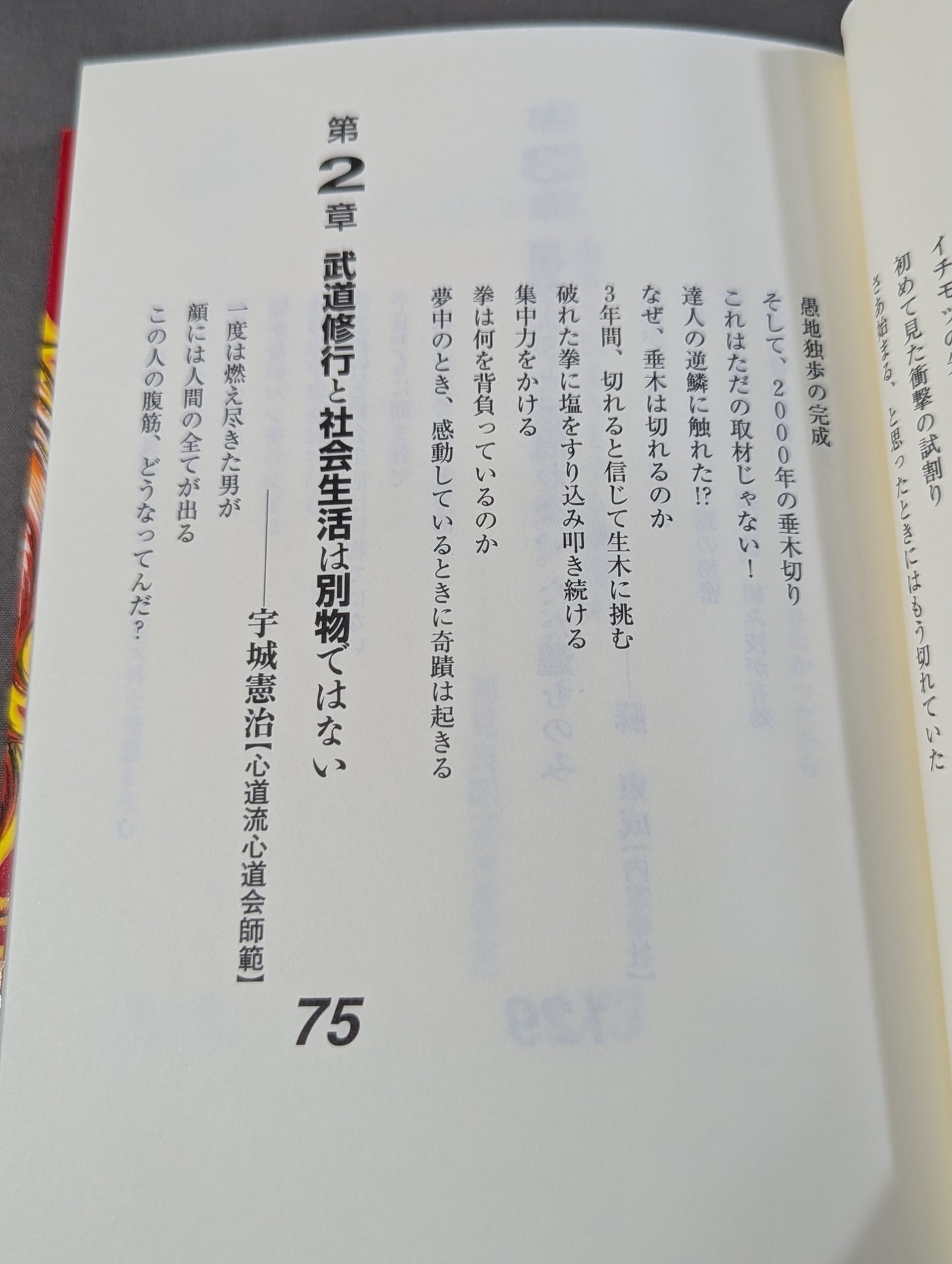 板垣恵介の激闘達人烈伝