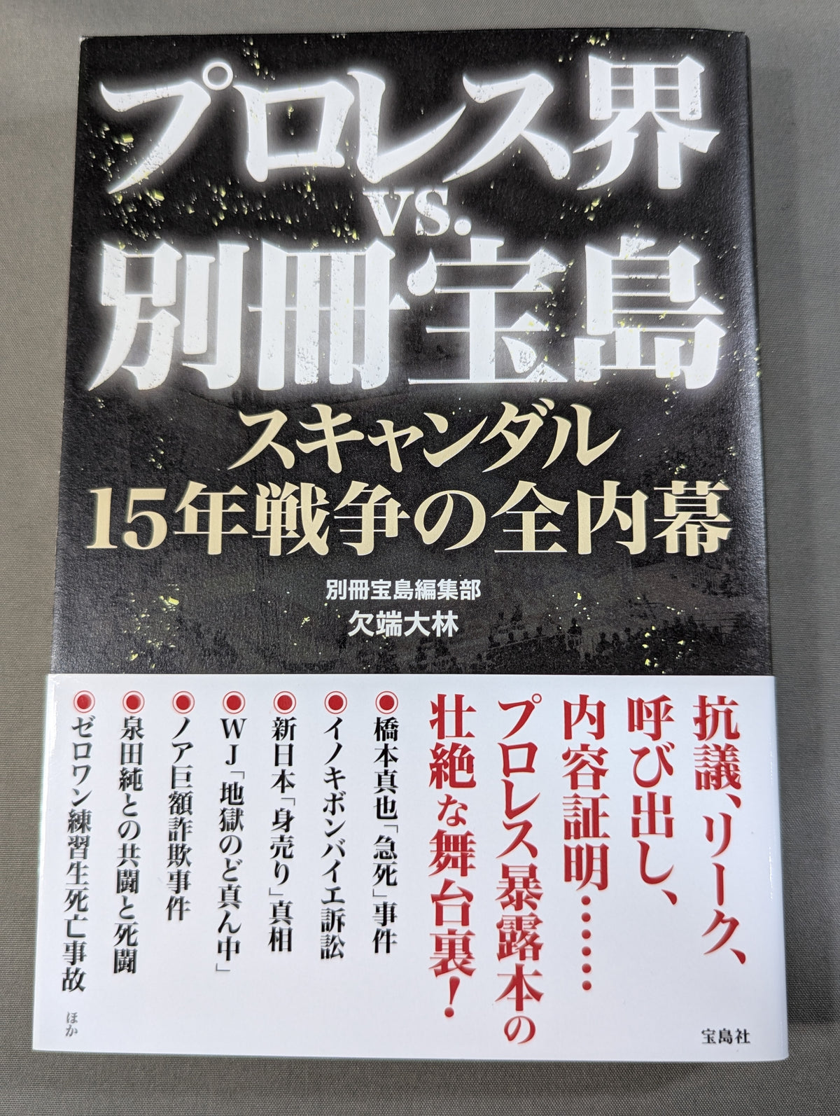 プロレス界vs.別冊宝島 スキャンダル15年戦争の全内幕