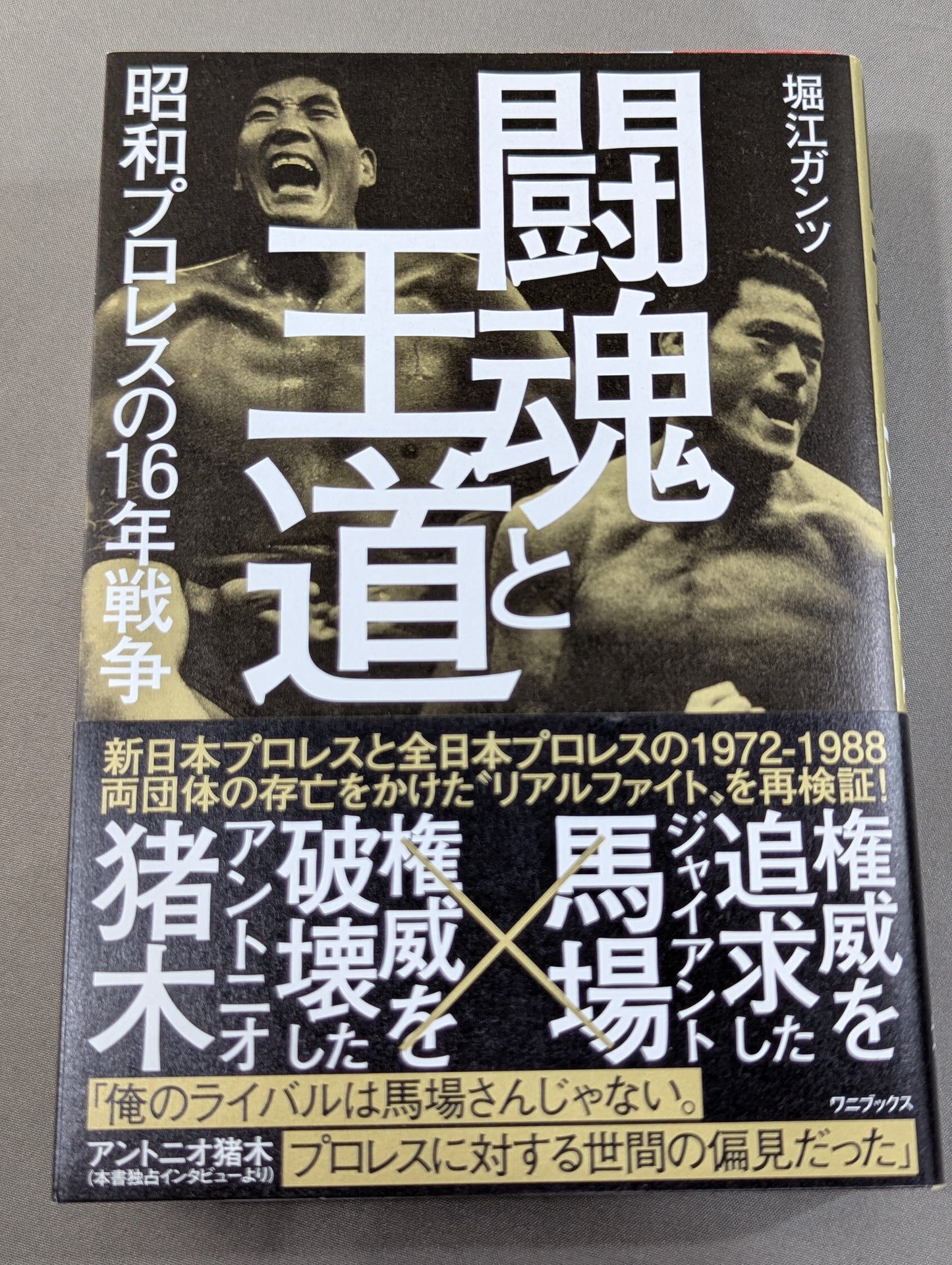 闘魂と王道 昭和プロレスの16年戦争