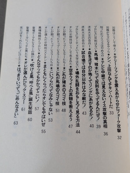 プロレスを10倍楽しく見る方法