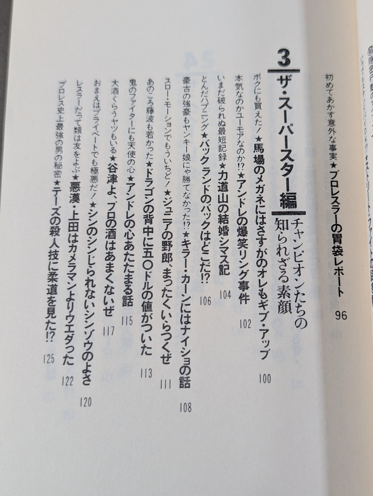 プロレスを10倍楽しく見る方法