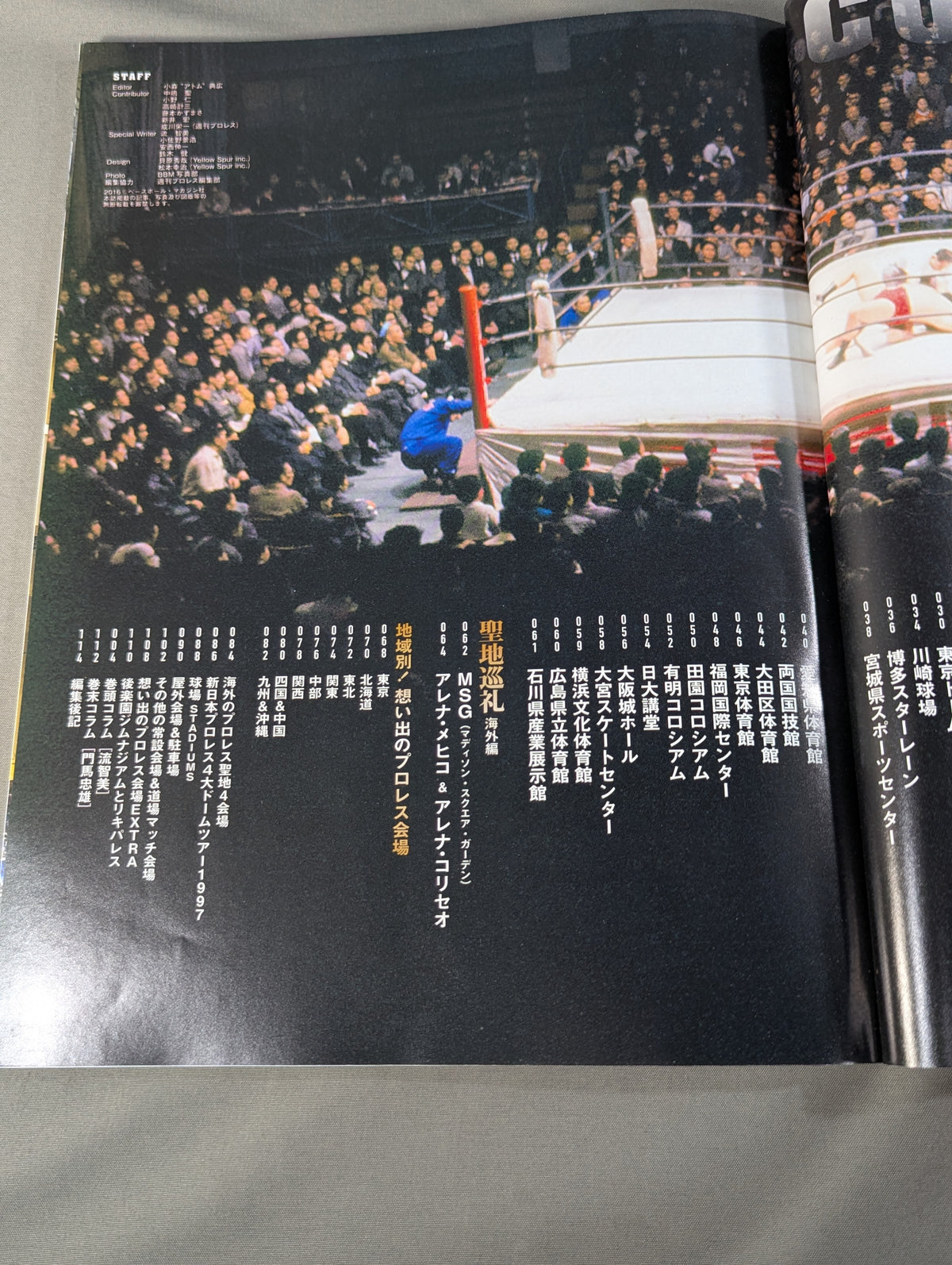 Memorable Pro Wrestling  Venue Story