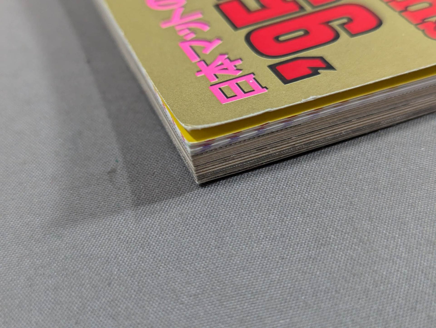 95Pro Wrestling Yearbook SUPER HAND BOOK!