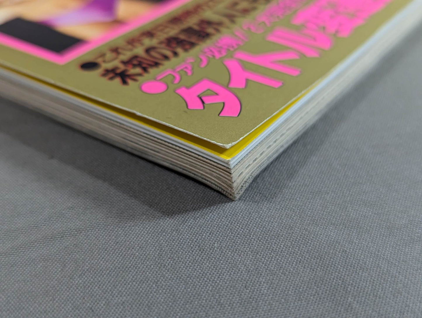 95Pro Wrestling Yearbook SUPER HAND BOOK!
