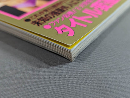 95Pro Wrestling Yearbook SUPER HAND BOOK!