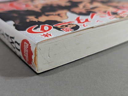 The strongest Pro Wrestling promotion The Truth About UWF Inter ~Dreams and 100 Million Yen~