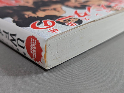 The strongest Pro Wrestling promotion The Truth About UWF Inter ~Dreams and 100 Million Yen~