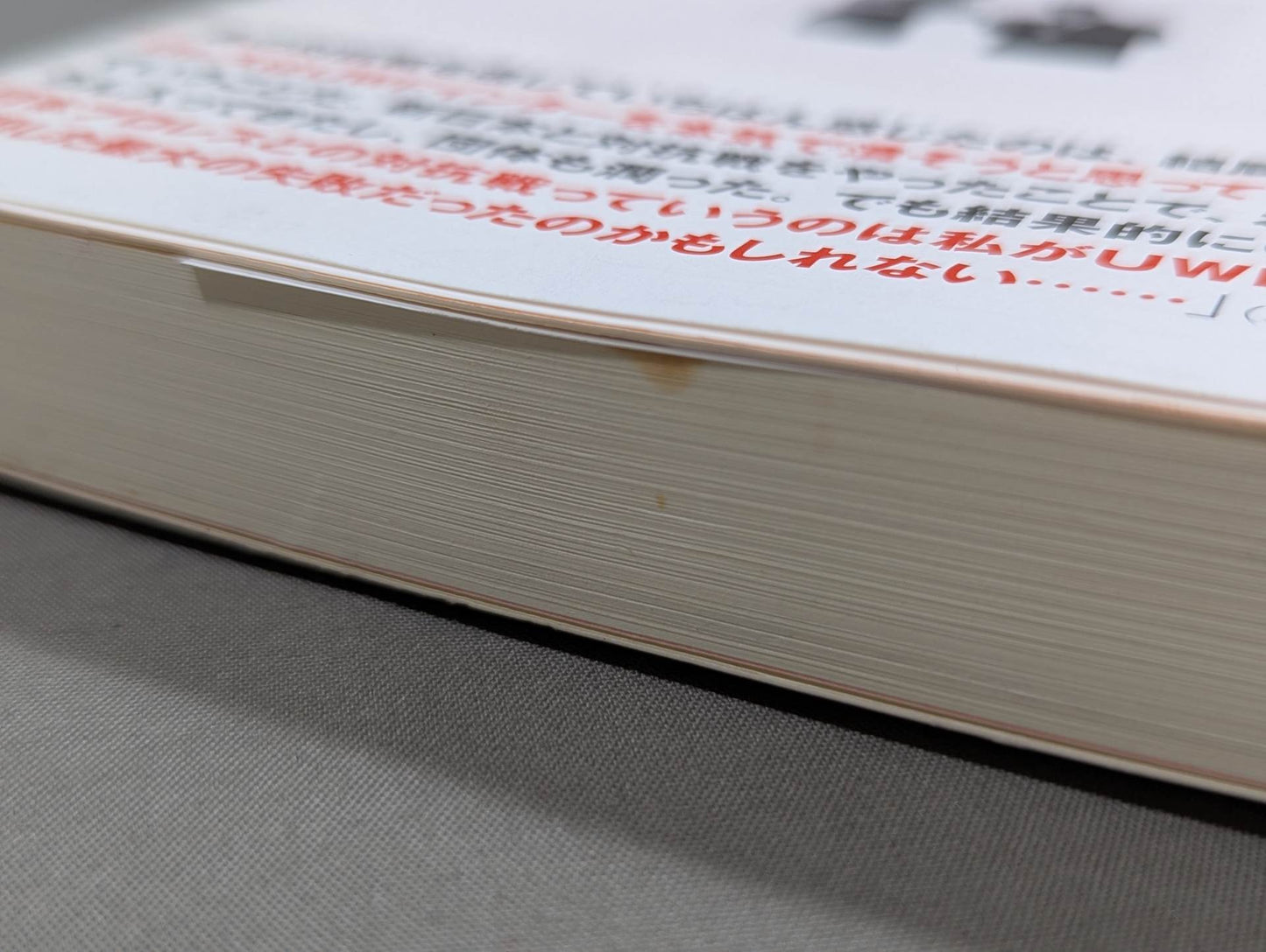 The strongest Pro Wrestling promotion The Truth About UWF Inter ~Dreams and 100 Million Yen~