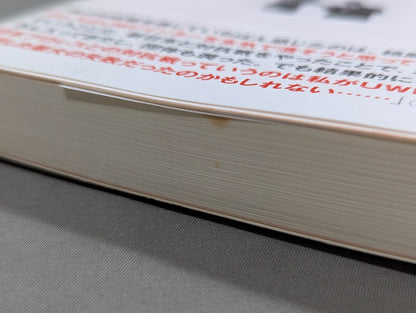 The strongest Pro Wrestling promotion The Truth About UWF Inter ~Dreams and 100 Million Yen~