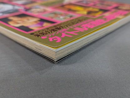 '95プロレス年鑑 SUPER HAND BOOK!