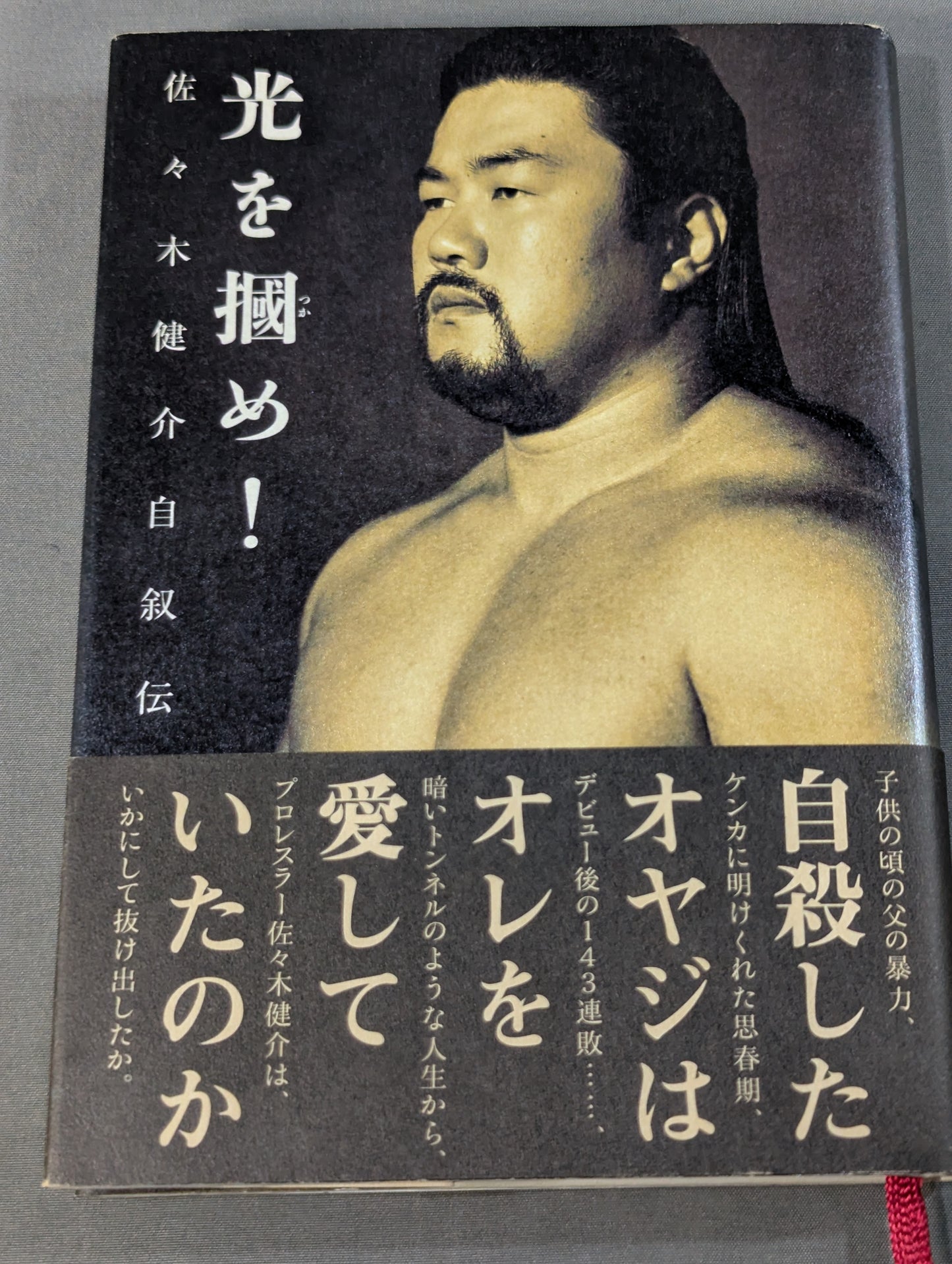 光を掴め! 佐々木健介自叙伝