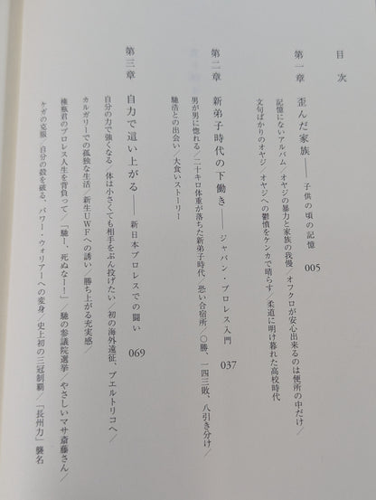 光を掴め! 佐々木健介自叙伝