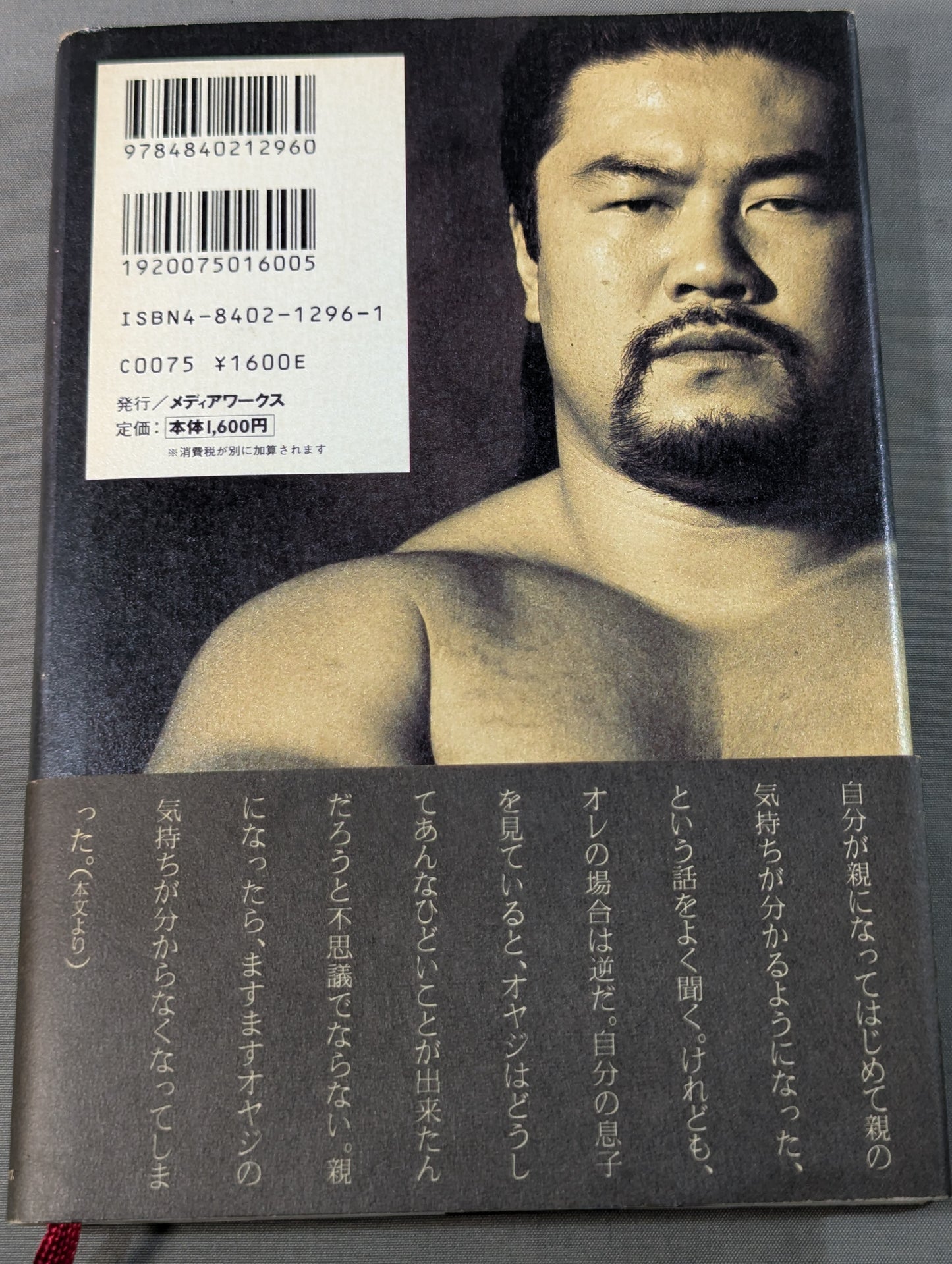 光を掴め! 佐々木健介自叙伝