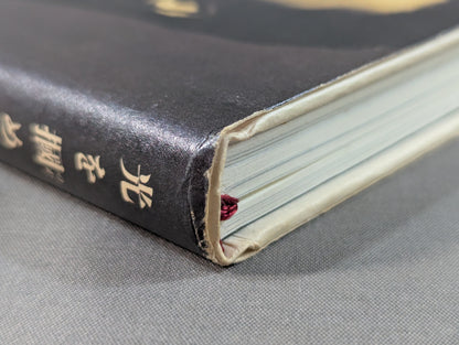 光を掴め! 佐々木健介自叙伝