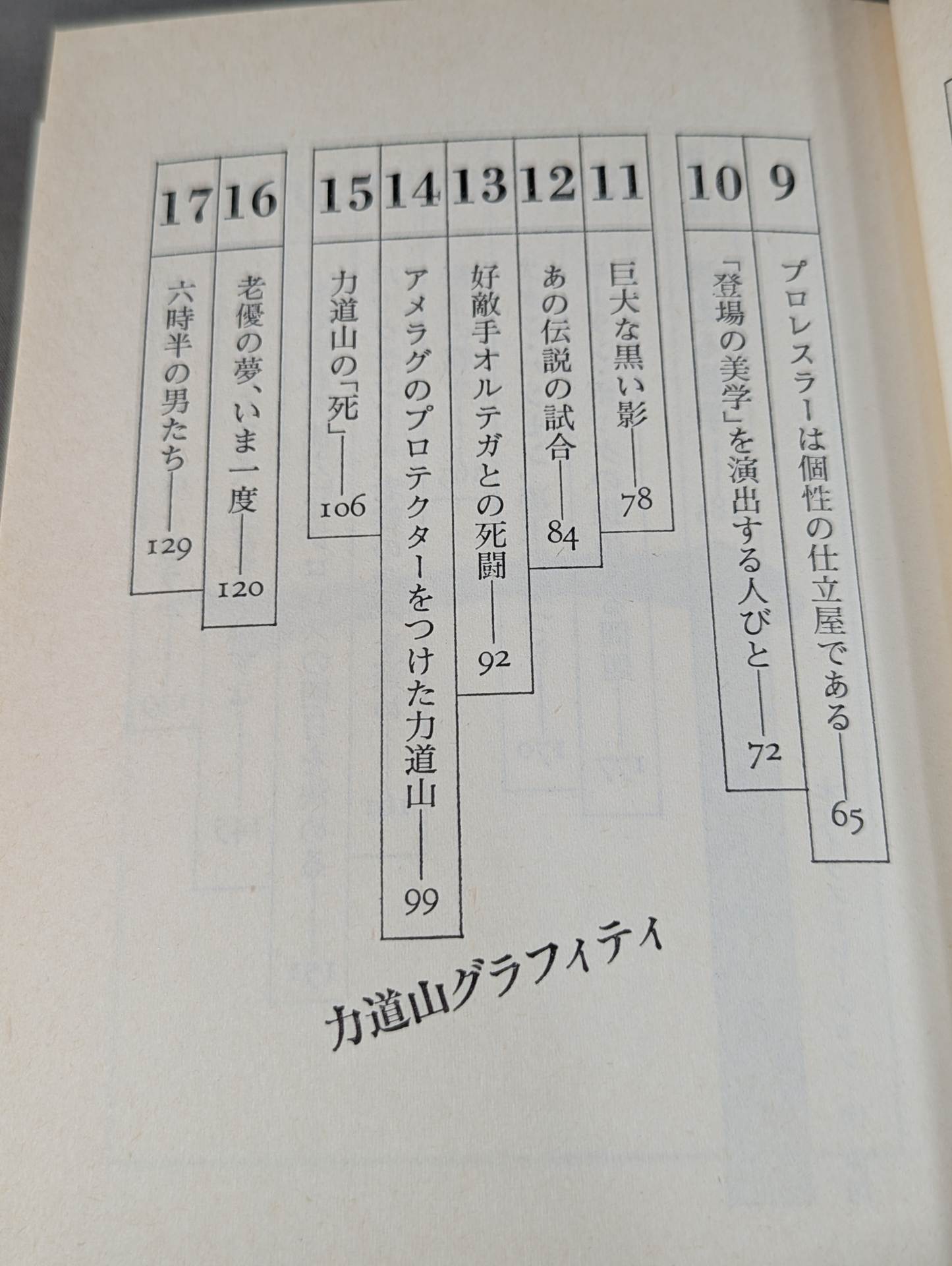 当然､プロレスの味方です 過激な生存の哲学