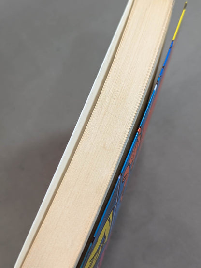 当然､プロレスの味方です 過激な生存の哲学