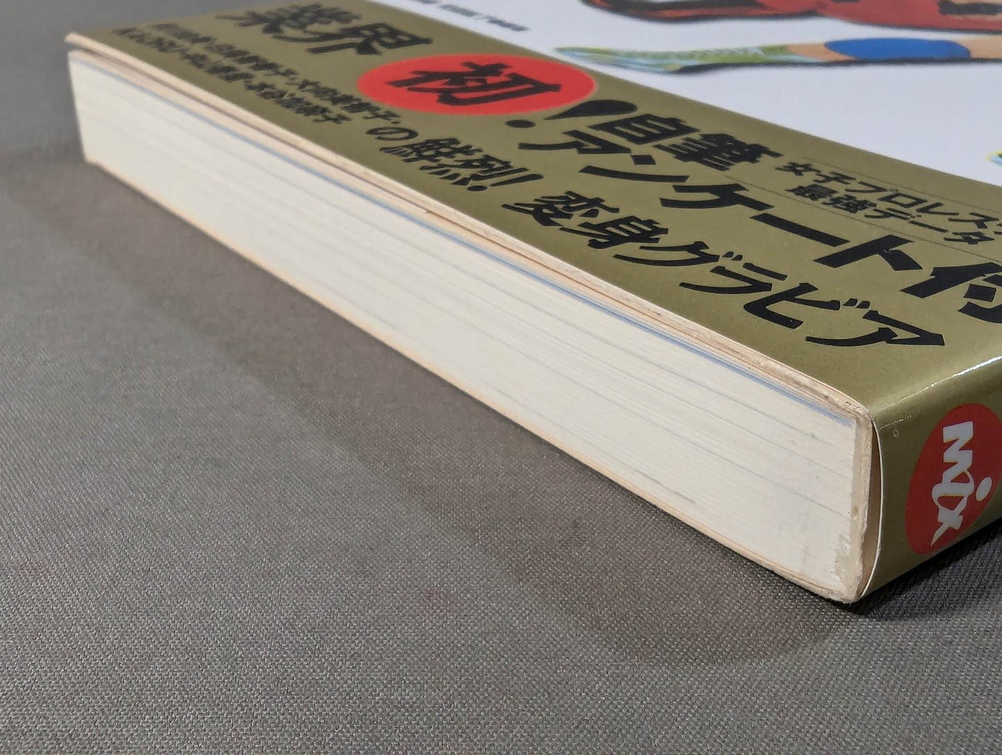 日本女子プロレス殿堂大図鑑