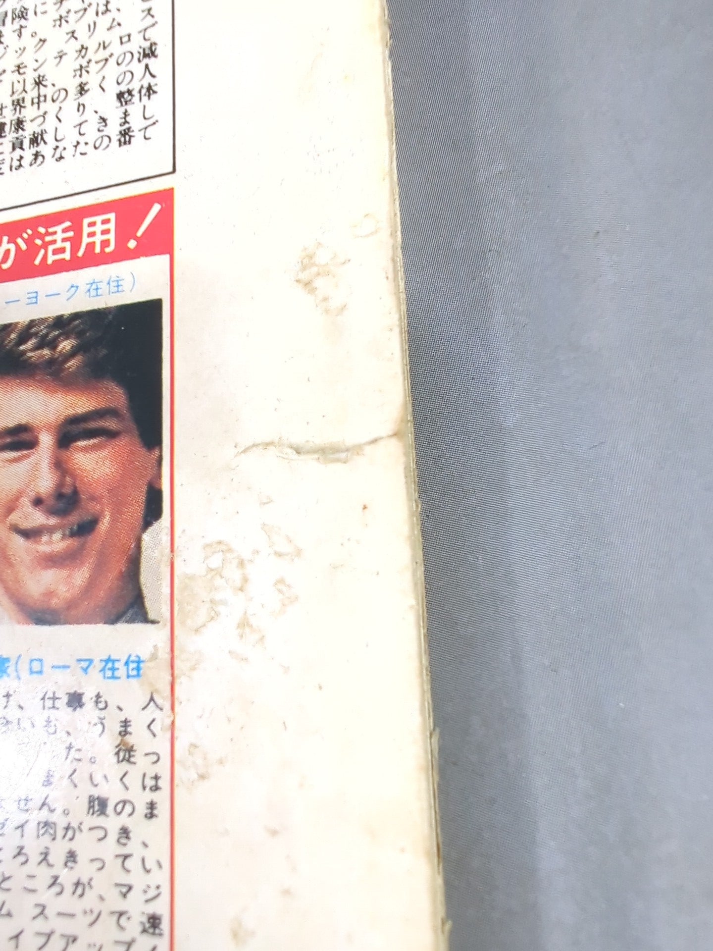 デラックスプロレス 1982年1月号