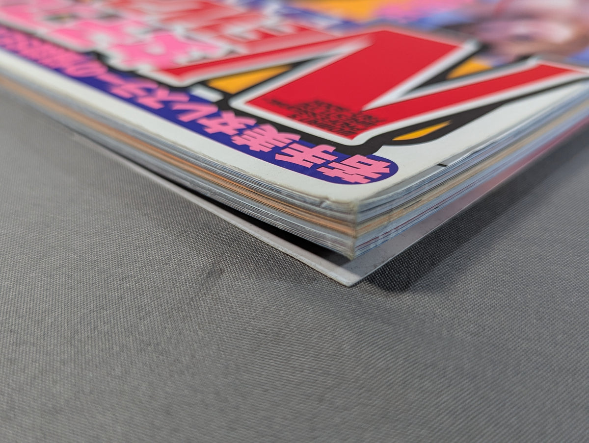 Women's Pro Wrestling NEW Idol FAN BOOK★