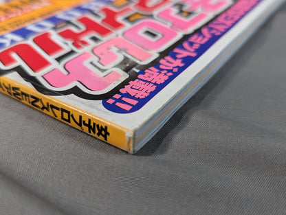 Women's Pro Wrestling NEW Idol FAN BOOK★