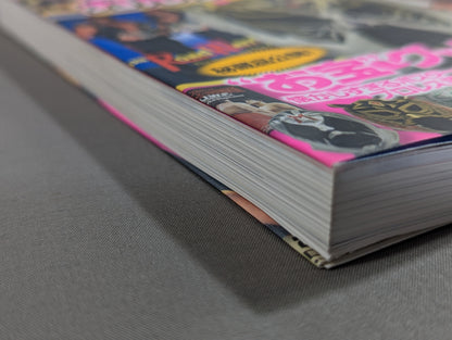 Fully preserved version! Showa 40s Men's Pro Wrestling Culture Encyclopedia