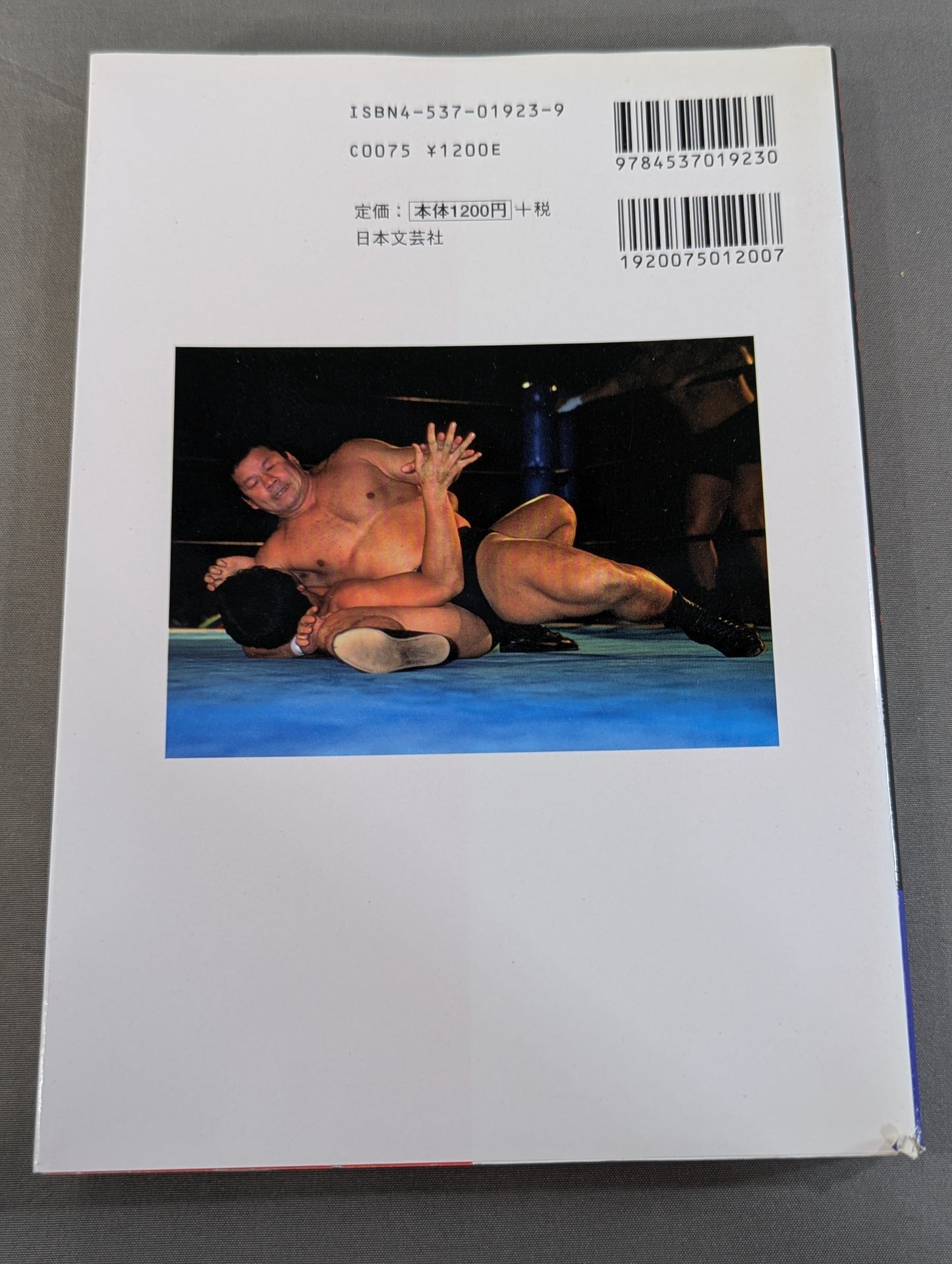 藤波辰爾のボディトレーニング