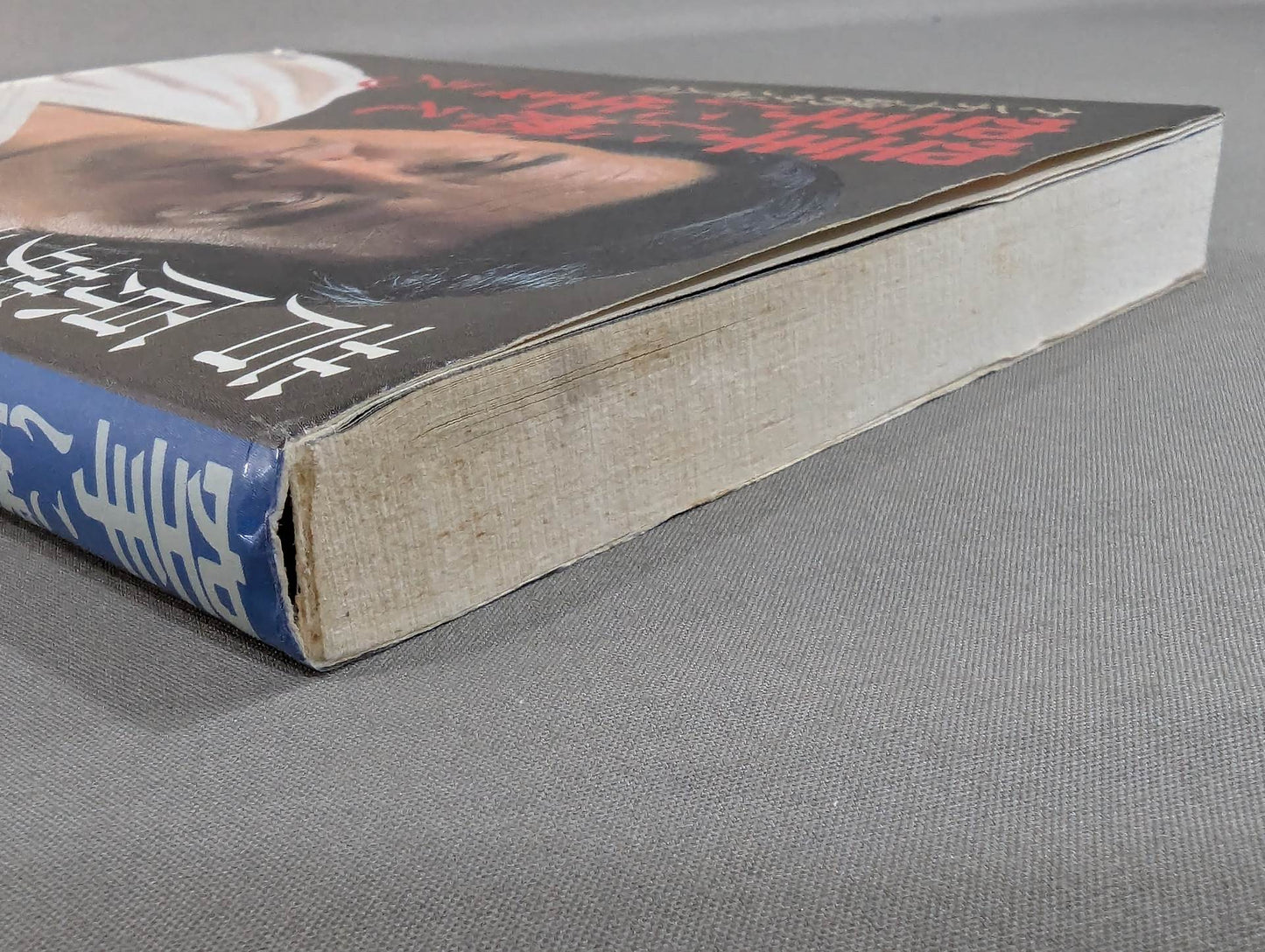 Burning in KARATE and living in KARATE Sabaki life in the 10th dan of fighting